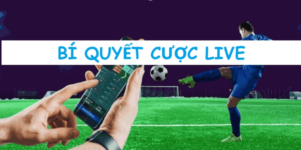 bí quyết cược live