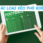 các loại kèo phổ biến